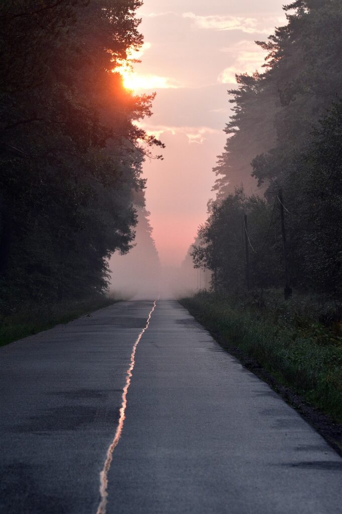ワーママに最適な宅配弁当の選び方は？