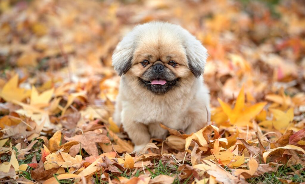 冷凍宅配弁当のコスパが良い理由とは？