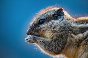 宅配食で高たんぱくを実現するコスパの良い選び方は？