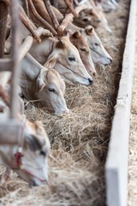 宅配食の量が少ない場合の対策は？
