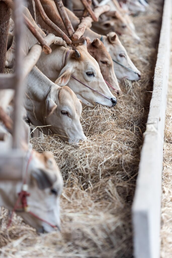 宅配食の量が少ない場合の対策は？