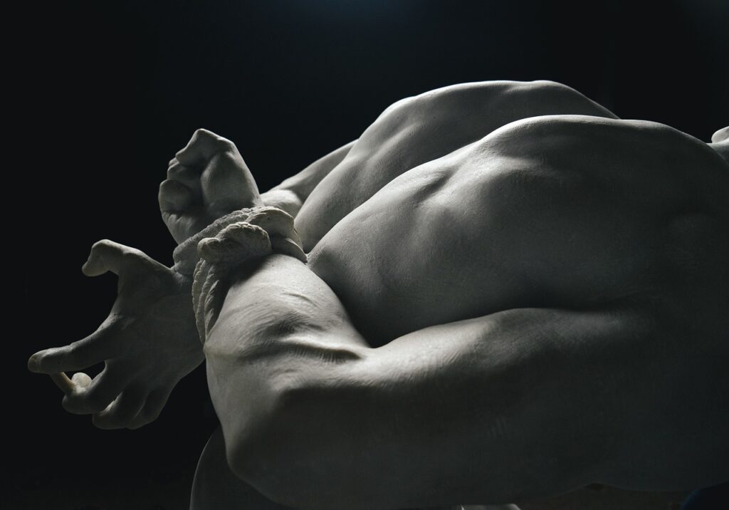 筋トレ中におすすめの宅配食でタンパク質が多いメニューは？