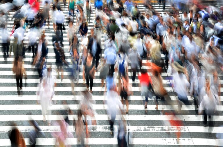 宅配食を利用して忙しい日を乗り切る便利な方法は？