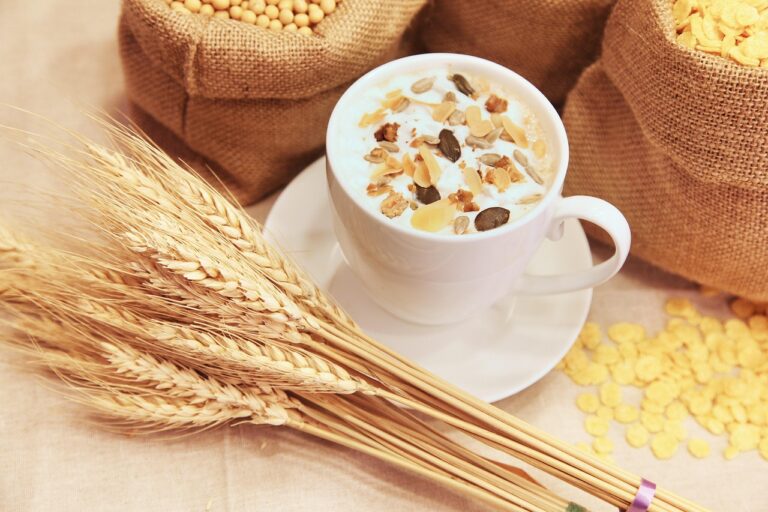 宅配食の相談や見積もりはどう進めるべき？